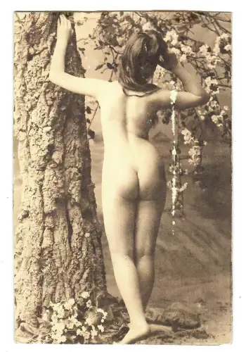 AK Erotik, Frau Akt stehend am Baum, nackt, erotic nude, 12023