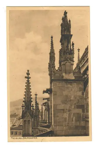 AK Freiburg, Münster,  Strebepfeiler, 12209