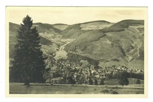 AK Todtnau, Panorama, 12218