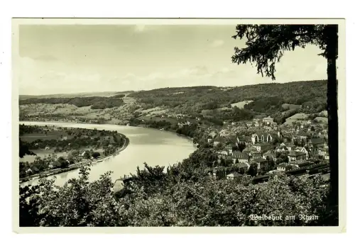 AK Waldshut, Panorama mit Rhein, 12220
