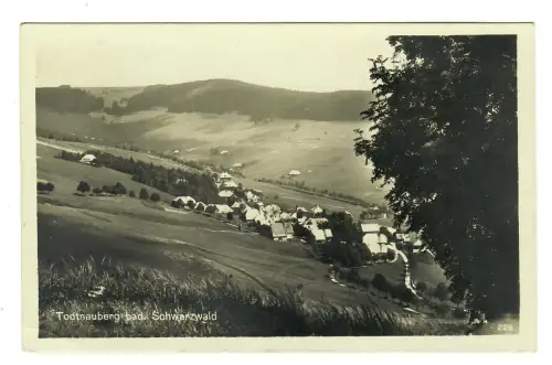 AK Todtnauberg, Panorama, 12227