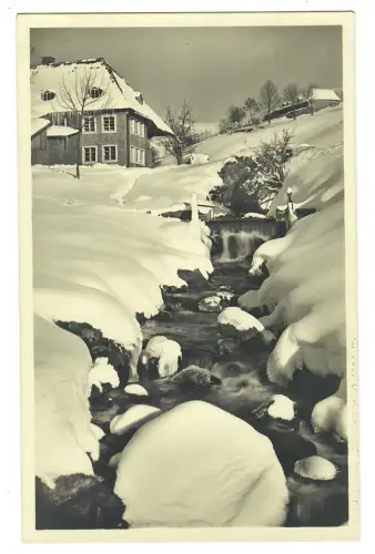 AK Todtnauberg, Winter am Stübenbächle, 12229