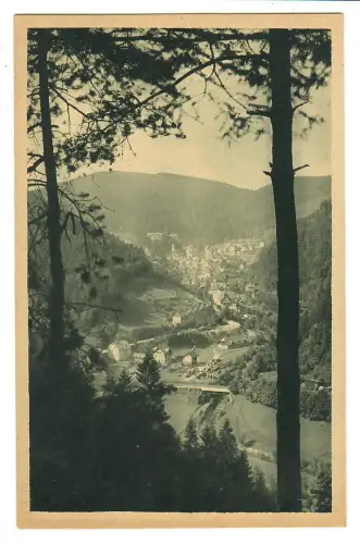 AK Triberg, Panorama, 12234