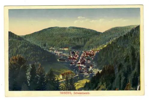 AK Triberg, Panorama, 12235