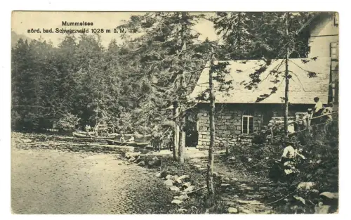 AK Mummelsee, Partie mit Bootsanlerger, 12242