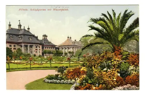 AK Pillnitz, Schloßgarten, 11411