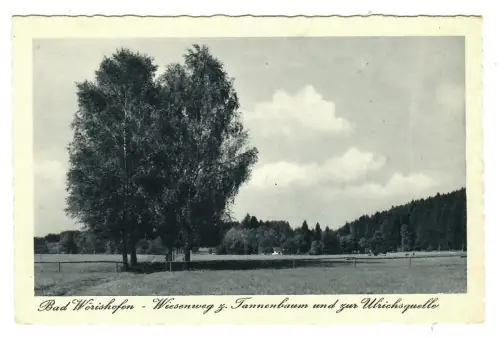 AK Bad Wörishofen, Wiesemweg zur Ulrichsquelle, 11638