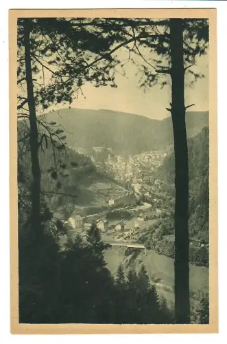AK Triberg, Panorama, 12234