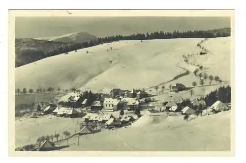 AK Todtnauberg, Panorama im Winter, 12226