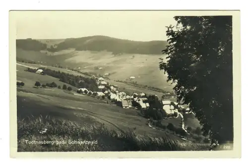 AK Todtnauberg, Panorama, 12227