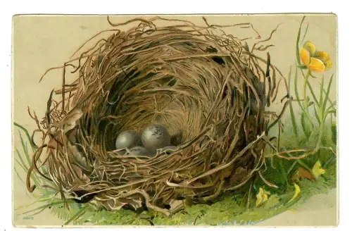 AK Ostern, Nest mit Eiern, 12162