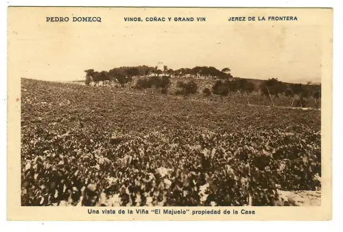 AK Jerez de la Frontera, Pedro Domecq Vinos Conac Grand Vin - 10431