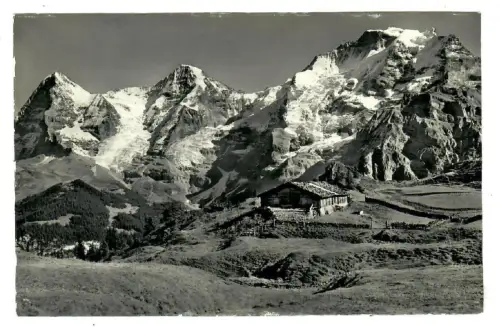 AK Mürren, Oberberg - Eiger-Münch-Jungfrau 10294