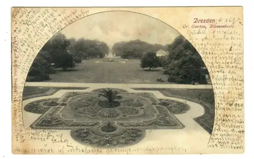 AK Dresden, Großer Garten mit Blumenbeete, 11418