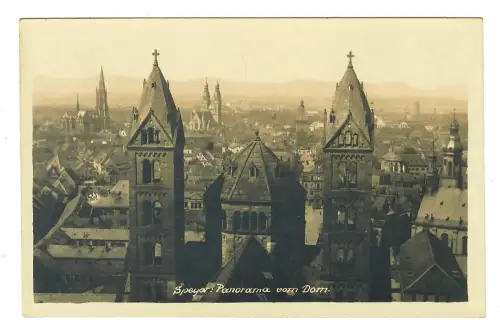 AK Speyer, Panorama vom Dom, 11500