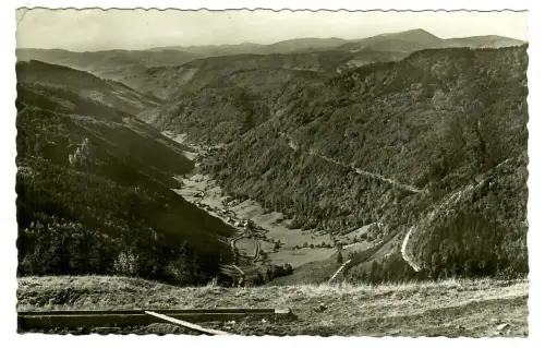AK Fahl-Brandenberg Todtnau, Panorama Blick vom Feldberg, 10685