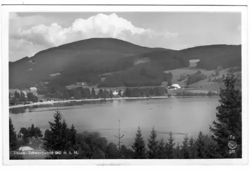 AK Titisee, Schwarzwald, 11079
