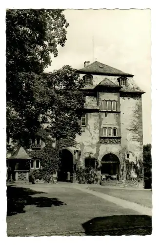 AK Birstein, Schloß, 11541
