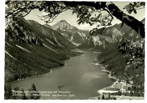 AK Plansee und Heiterwangersee mit Thaneller, 10799