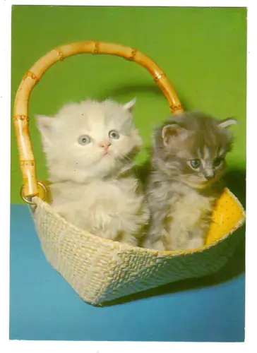 AK Katzen, Katzenbabys im Körbchen, 30671
