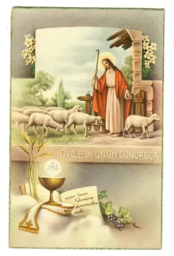 AK Jesus mit Schafherde "Ovile in unum concreca", 20220