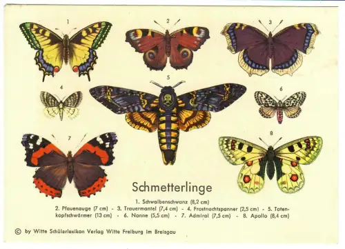 AK Schmetterlinge,  Pfauenauge Nonne Admiral Apollo ... , 30676