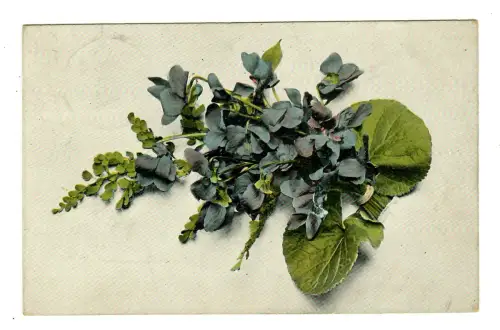 AK Veilchen Strauß, 11901