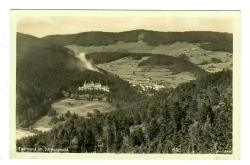 AK Todtmoos, Panorama, 12217