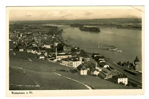 AK Rüdesheim, Teilansicht mit Rhein, 11509