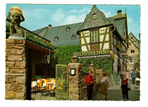AK Rüdesheim, Der Drosselhof "Zu Rüdesheim in der Drosselgaß", 10165