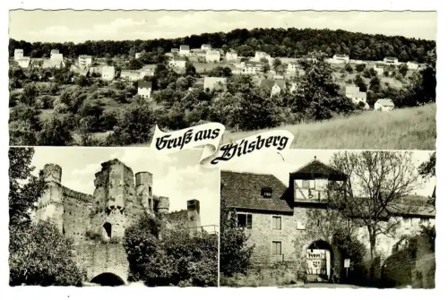 AK Dilsberg, Panorama, Burg, 10544
