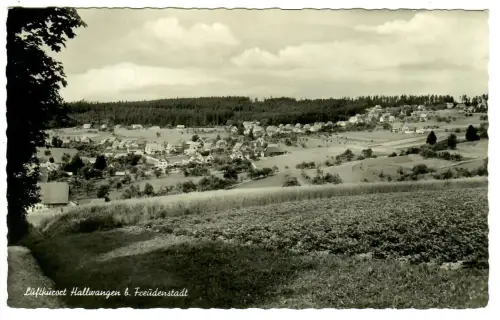 AK Hallwangen, Panorama, 10674