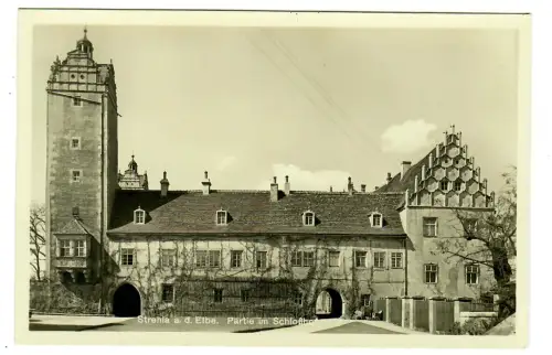 AK Strehla a. d. Elbe, Schloßhof, 11103