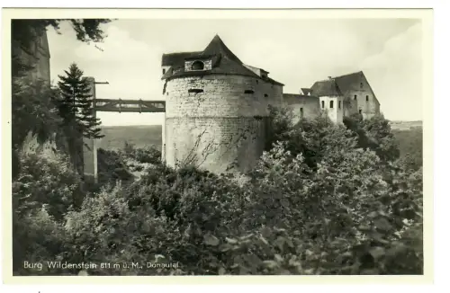 AK Leibertingen, Burg Wildenstein, Donautal, 10649