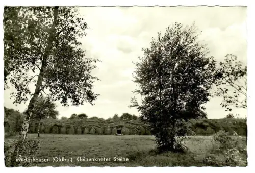 AK Wildeshausen (Oldenburg), Kleinenkneter Steine, 10593