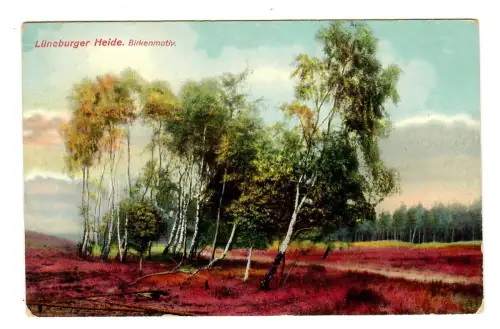 AK Lüneburger Heide, Birkenmotiv, 11432