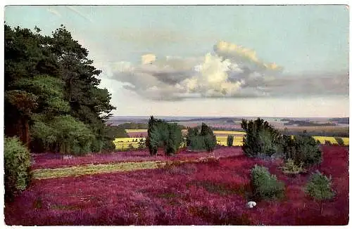 [Künstlerpostkarte Unikat gemalt/gezeichnet] Lüneburger Heide Wilseder Berg, bs., ungel.