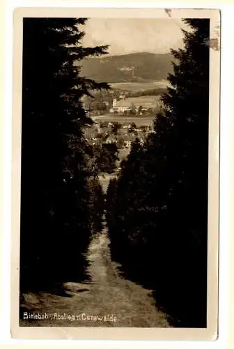 [Echtfotokarte schwarz/weiß] AK Bieleboh, Abstieg n. Cunewalde, Baudenstempel violett Kurhaus Sachsenhöhe, Waldluftkurort
