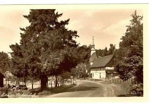 [Echtfotokarte schwarz/weiß] AK Lückendorf Kirche und 15000-jährige Eibe, nach 1952