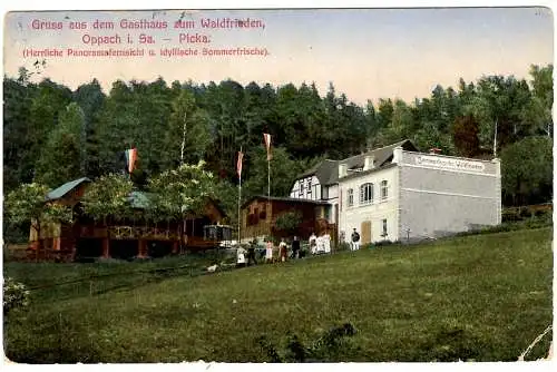 [Hand-Koloriert] AK Gruss aus dem Gasthaus Waldfrieden Oppach i. Sa. - Picka, Feldpost 1916 09 11 Dresden Altst. 1 II DBG