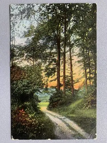 [Hand-Koloriert] Die Karte ist ohne Beschriftung. 