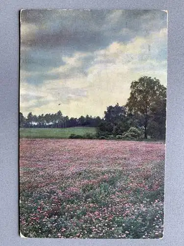 [Hand-Koloriert] Photochrom Karte. 