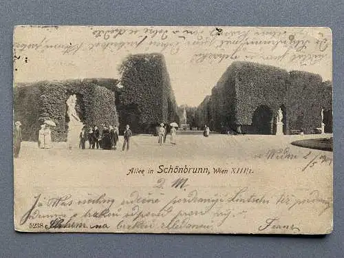 [Vorläufer - Correspondenzkarten mit keinen oder nur kleinen Bildaufdrucken] Allee in Schönbrunn - Wien XIII. 