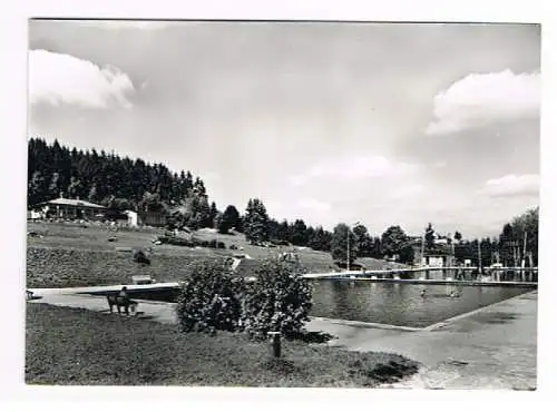 [Lithographie] Adorf Waldbad Vogtland VEB Foto Verlag Erlbach i Vogtl. 