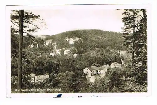 [Ansichtskarte] Bad Freienwalde 1952 Echte Photographie Trinks Leipzig. 