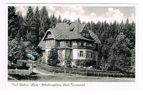 [Ansichtskarte] Bad Sachsa Haus Tannenried. 