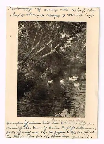 [Ansichtskarte] 4x Bielefeld 1913 bis 1939 Ein sonniger Tag Ente Fluss Bekämpft Arbeitsnot Postreisescheck. 