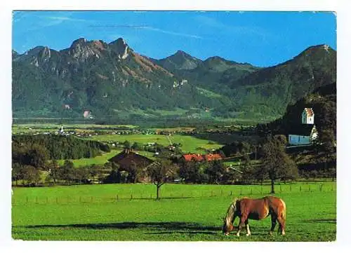 [Ansichtskarte] Branneburg Degerndorf Inn St Margarethen Pferd. 