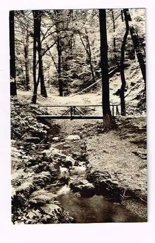 [Ansichtskarte] 11x Braunlage Sanatorium Hans Rudolph Verschwiegener Luftbild Vogelschau. 