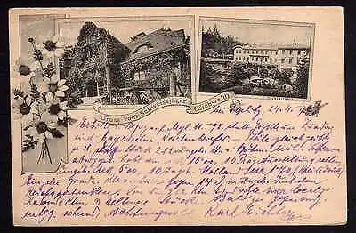 Ansichtskarte Schweissjäger Eichwald bei Dubi Teplitz 1898